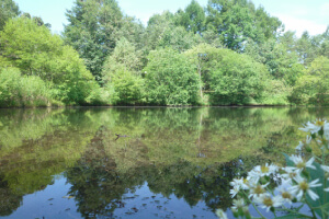 国立公園の中にあり、富士・筑波の両山麓と並ぶ三大野鳥生息地に数えられる浅間山麓。だからこそ、あるがままの大自然を基調にしています。