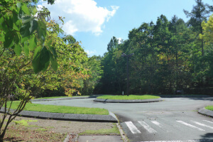 自生の樹々・草花や岩をあらゆる点から尊重し、道路・街灯・表示板の諸設備もこの自然との調和を第一に配慮しました。（エントランス・アプローチゾーンはSDA賞受賞）